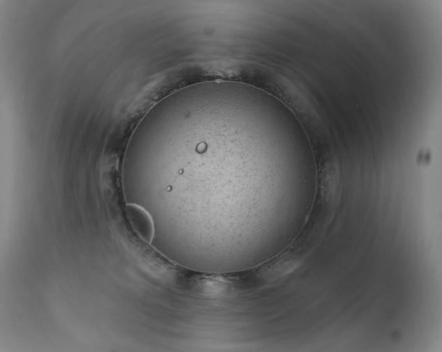 X0000111940229200907271420