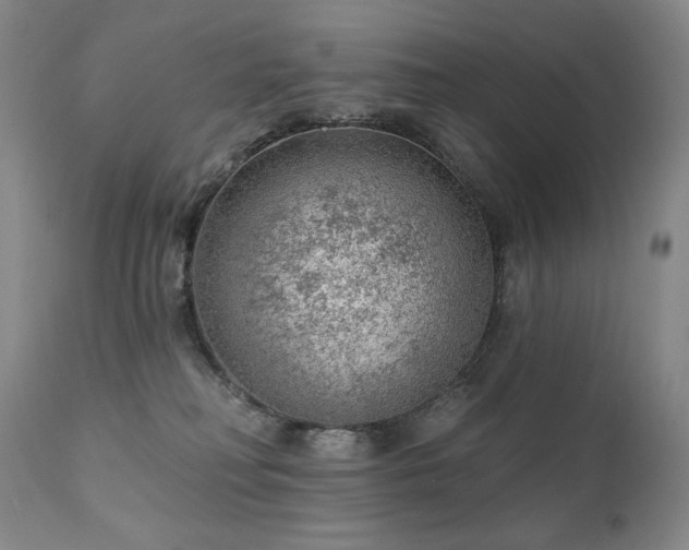 X0000111940230200907271420