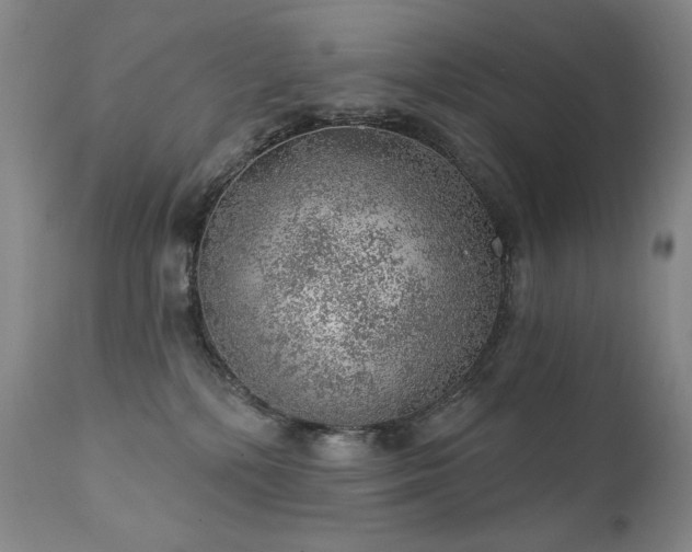 X0000111940232200907271420