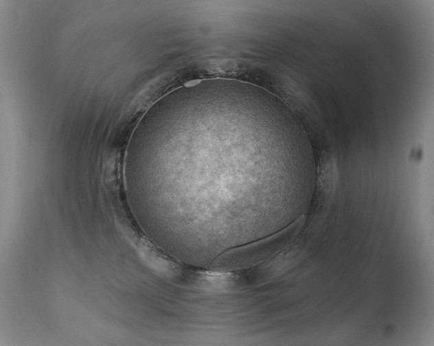 X0000111940233200907271420