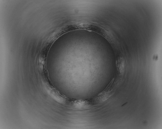 X0000111940235200907271420