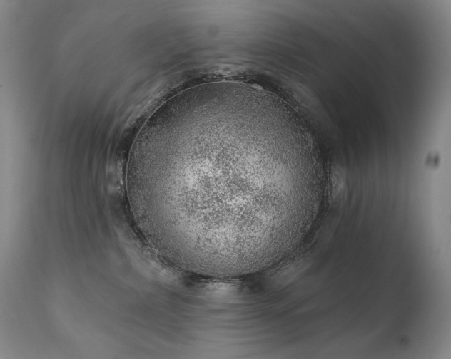 X0000111940236200907271420