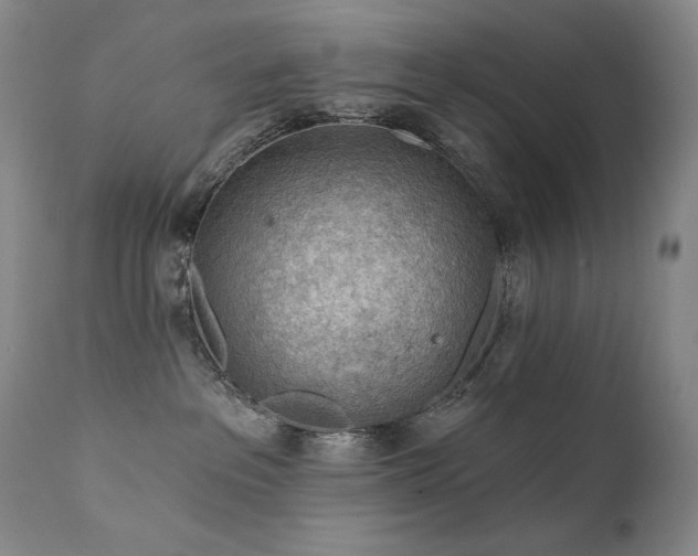 X0000111940237200907271420