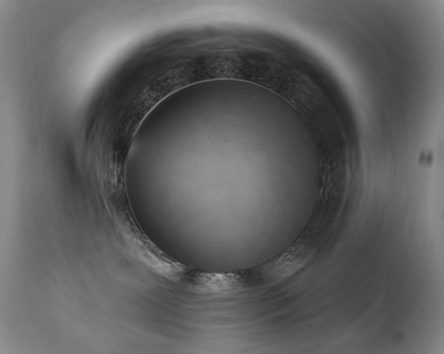 X0000111940239200907271420