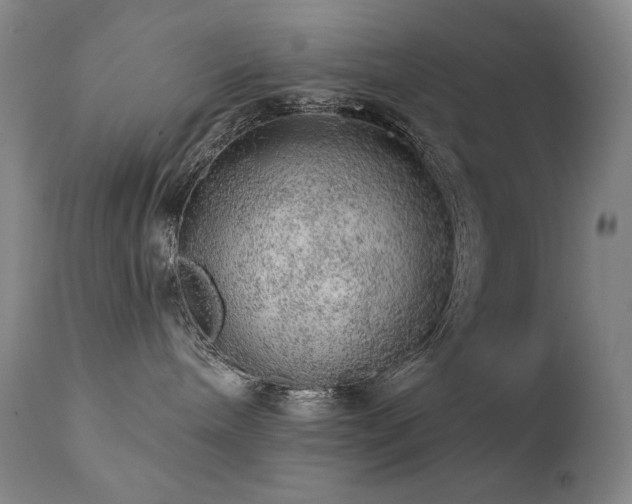 X0000111940240200907271420