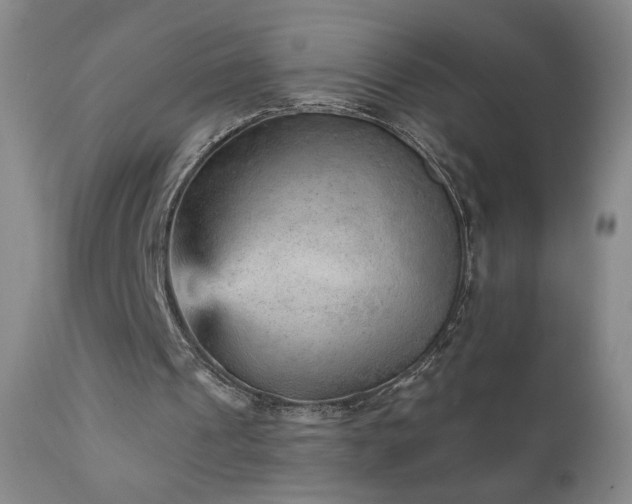 X0000111940241200907271419