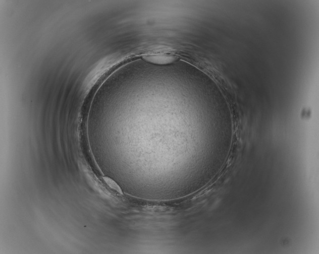 X0000111940242200907271419