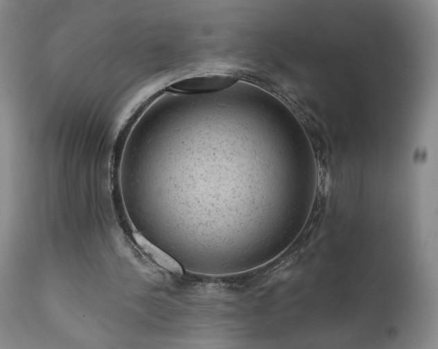 X0000111940244200907271419