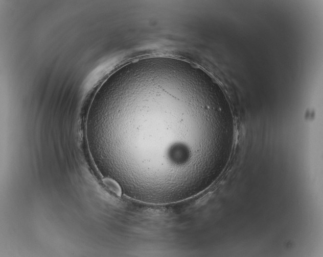 X0000111940245200907271419