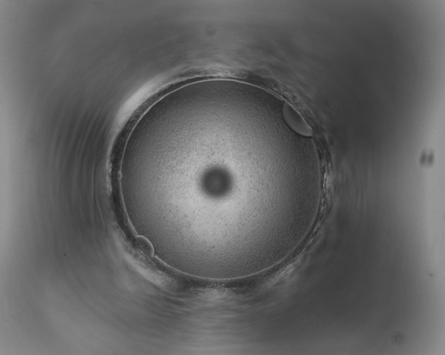 X0000111940246200907271419