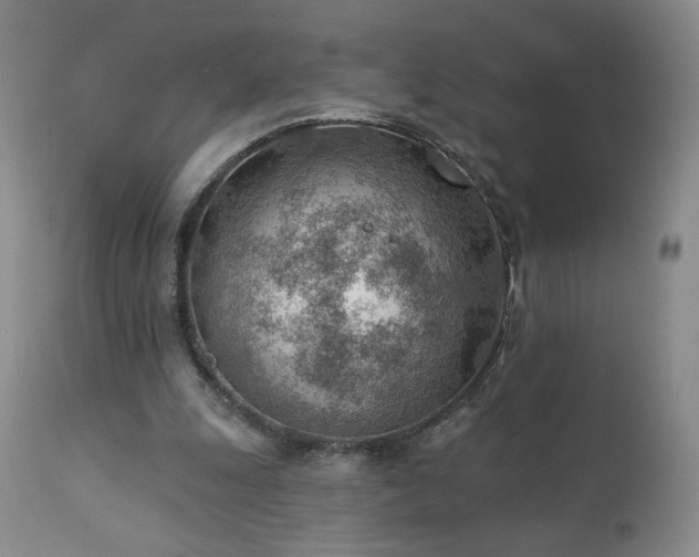 X0000111940247200907271419