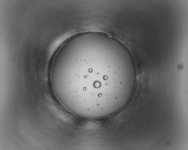 X0000111940248200907271419