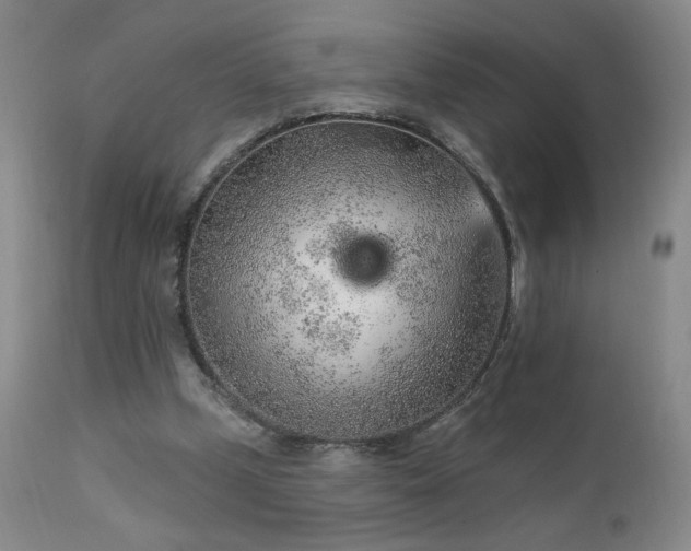 X0000111940249200907271419