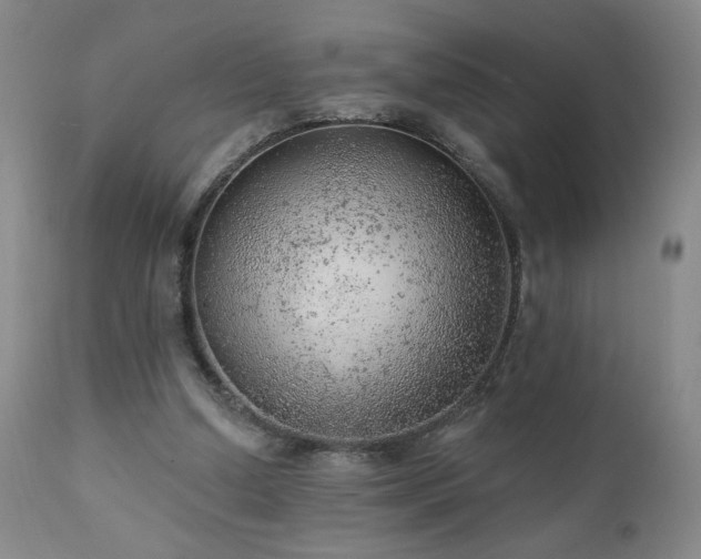 X0000111940250200907271419