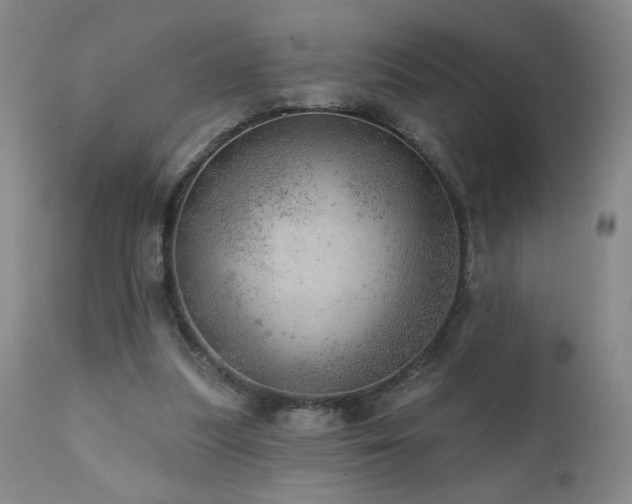 X0000111940251200907271419