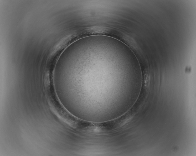 X0000111940254200907271419