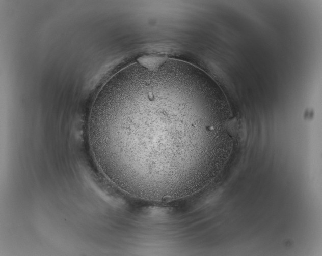 X0000111940255200907271420