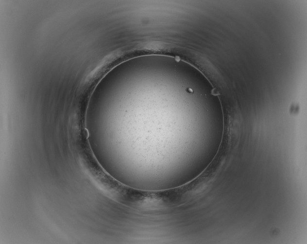 X0000111940256200907271420