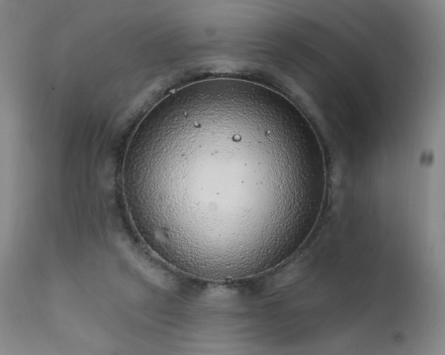 X0000111940257200907271420