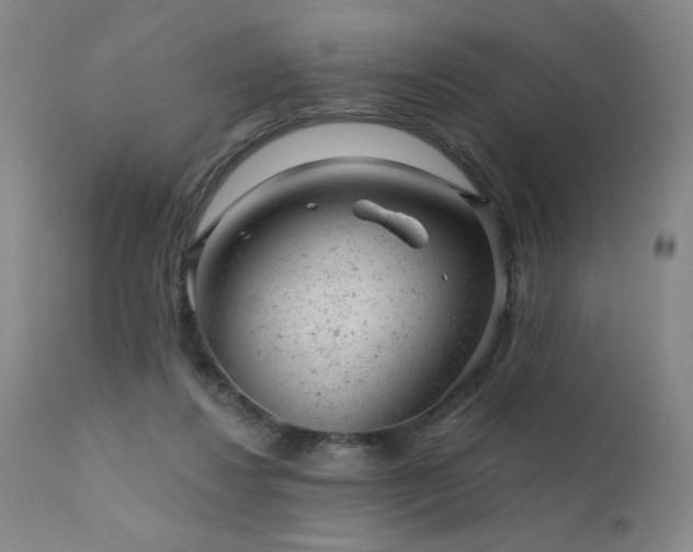 X0000111940260200907271420