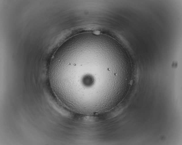 X0000111940261200907271420