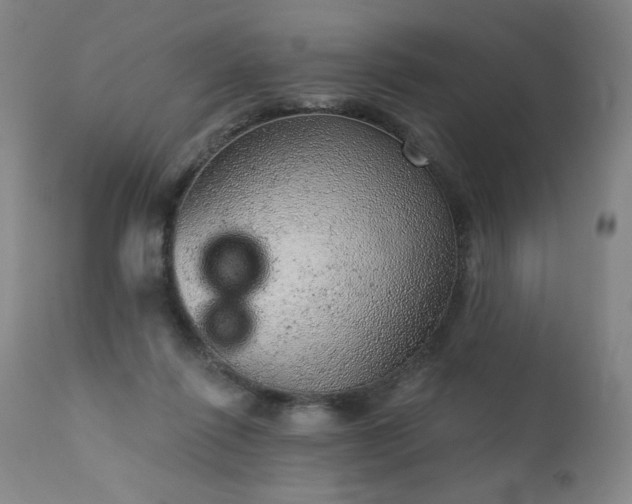 X0000111940262200907271420