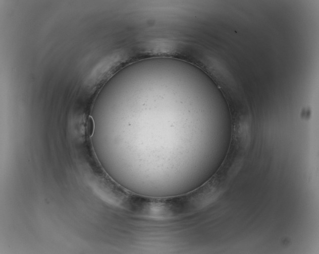 X0000111940264200907271420