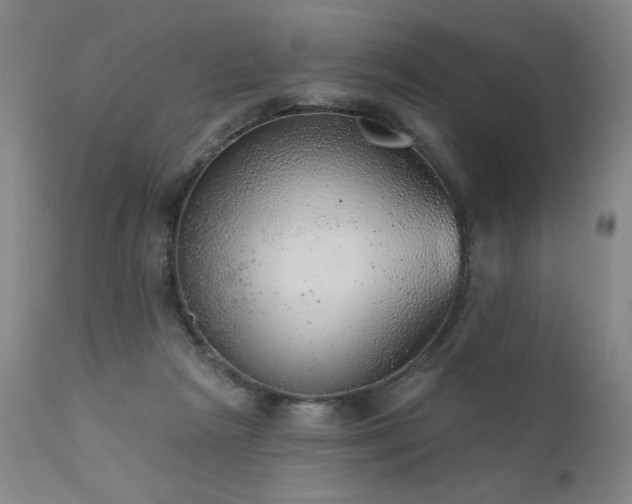 X0000111940265200907271420