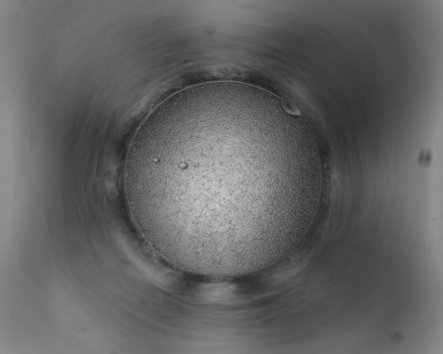 X0000111940266200907271420