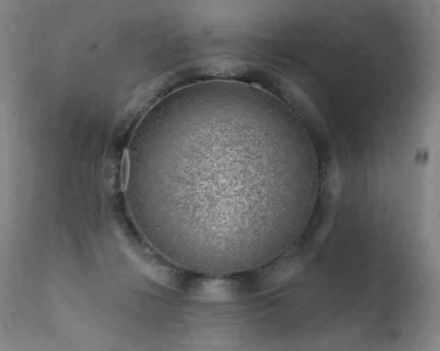 X0000111940268200907271420