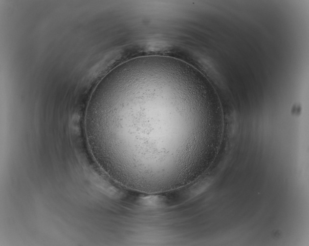 X0000111940269200907271420