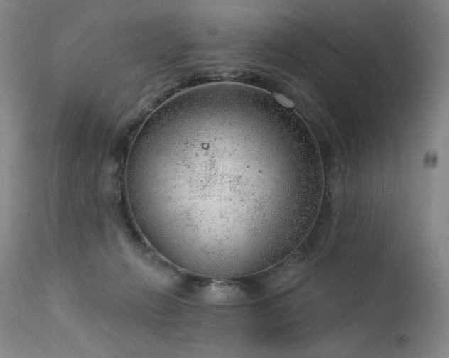 X0000111940270200907271420