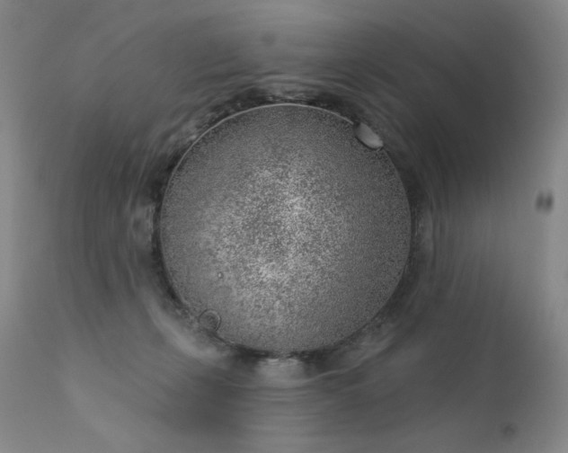 X0000111940271200907271420