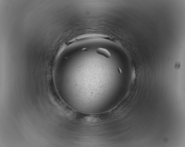 X0000111940272200907271420