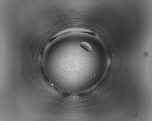 X0000111940276200907271420