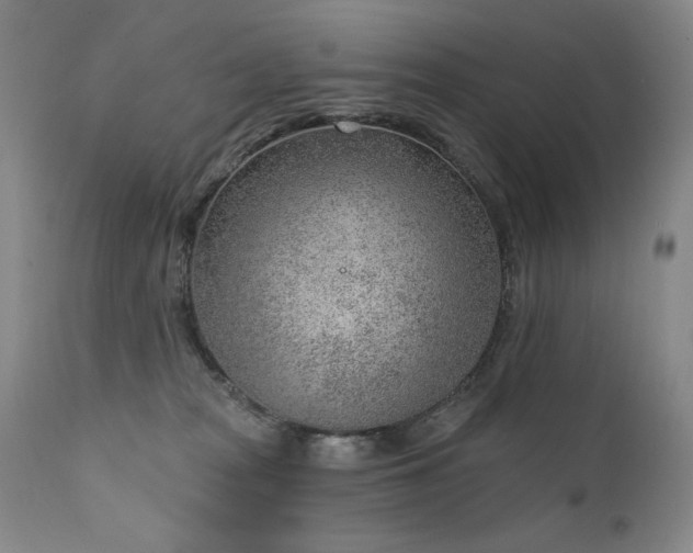 X0000111940277200907271420