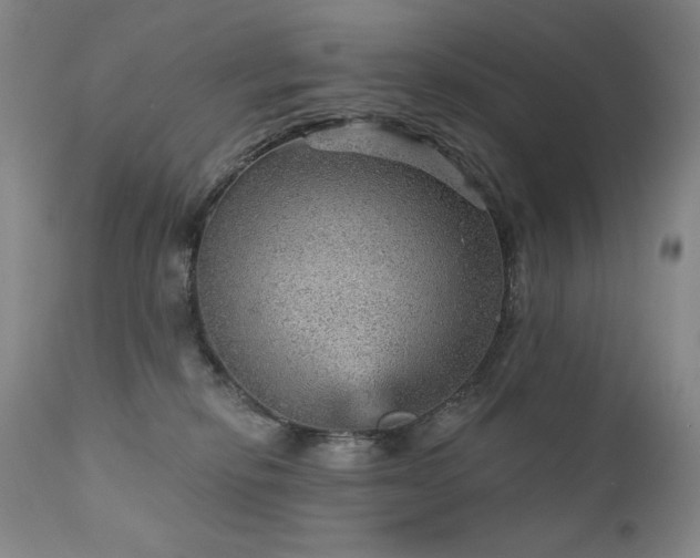 X0000111940278200907271420