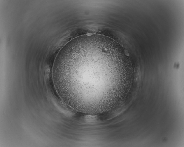 X0000111940279200907271420