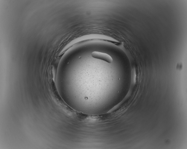 X0000111940280200907271420