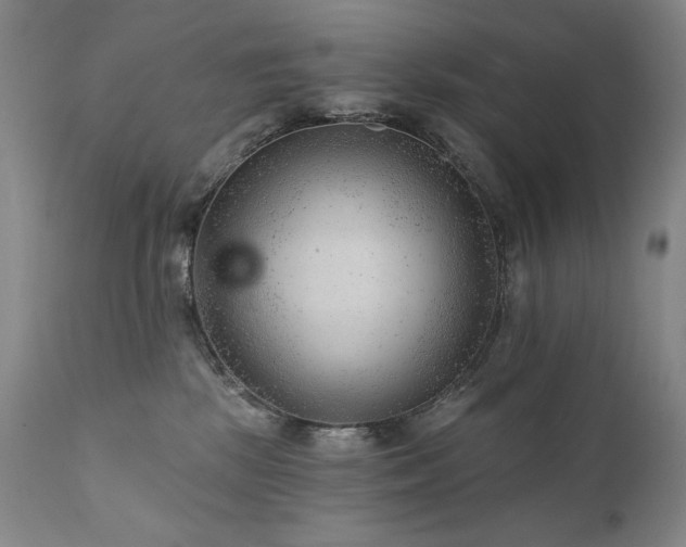 X0000111940281200907271420