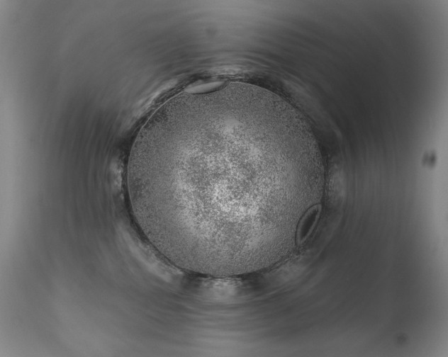 X0000111940282200907271420