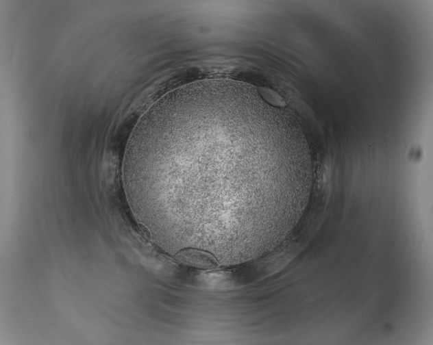 X0000111940283200907271420