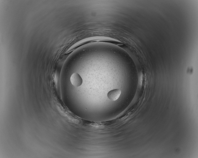 X0000111940284200907271420