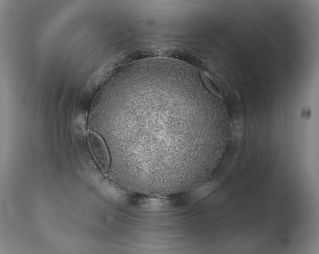 X0000111940286200907271420