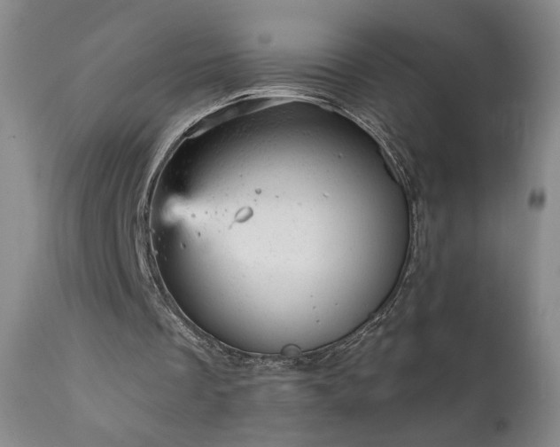 X0000111940289200907271419