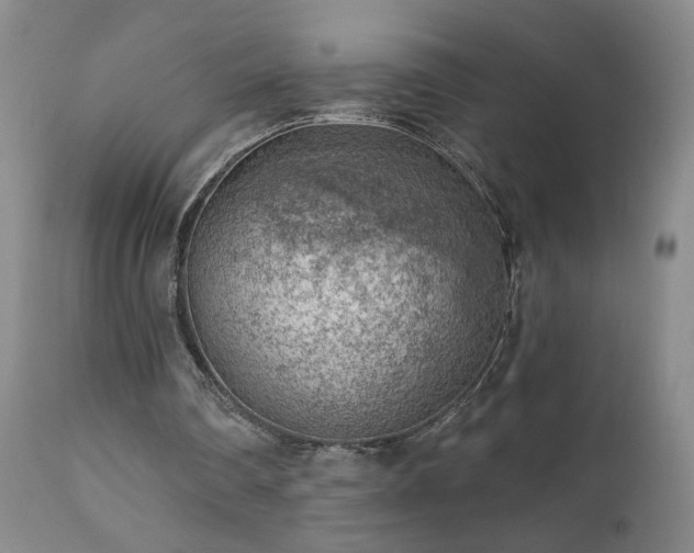 X0000111940290200907271419