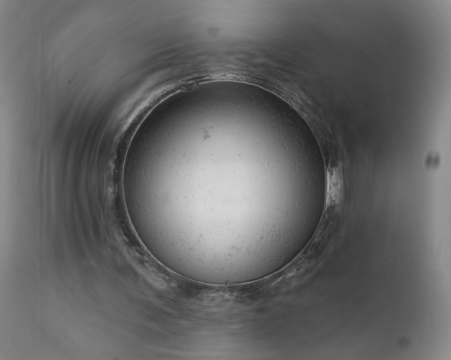 X0000111940291200907271419