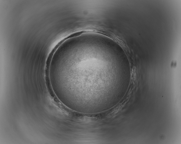 X0000111940292200907271419