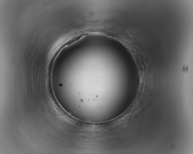 X0000111940293200907271419