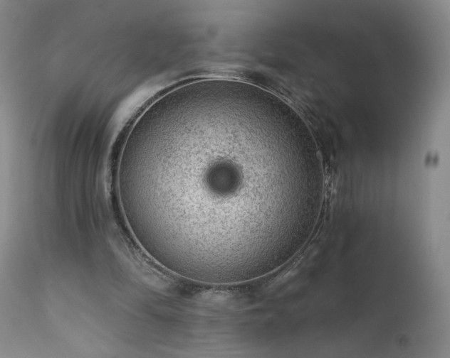 X0000111940294200907271419